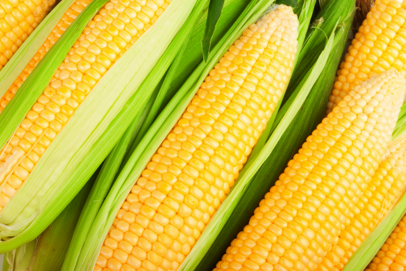 Zbilansowana dieta bezglutenowa